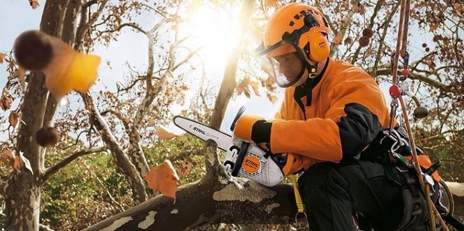 Бензопила STIHL MS 150-25 TC-E [11462000042]