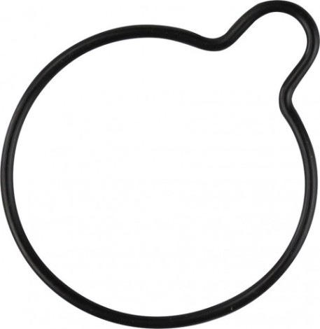 Кольцо уплотнительное впускного коллектора SKIPPER для Yamaha F75-100 / Mercury 75/90 4-Stroke [SK67F-14239-00]