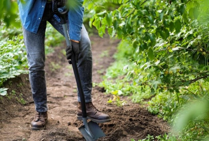 Лопата PLANTIC 11002-01 Terra Pro штыковая [11002-01]