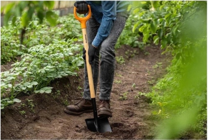 Лопата PLANTIC 11008-01 Terra штыковая "ДАЧА" [11008-01]