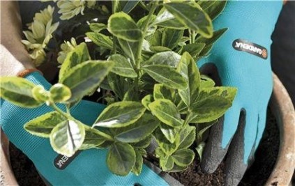 Перчатки садовые для работы с почвой GARDENA 00208-20.000.00 размер 10 (XL)