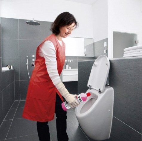 Средство специальное KARCHER SanitPro CA 10 C eco!perform (5 л) чистящее [6.295-678.0]