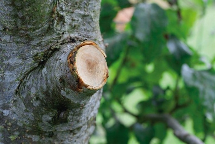 Сучкорез GARDENA Comfort с храповым механизмом SmartCut 08773-20.000.00 [08773-20.000.00]