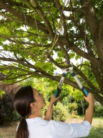 Сучкорез GARDENA EasyCut 500B 12002-20.000.00 [12002-20.000.00]