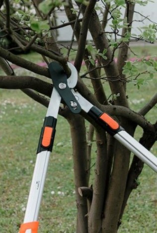 Сучкорез PLANTIC 25280-01 телескопический pro80 Сучкорез PLANTIC 25280-01 телескопический pro80