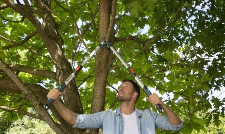 Сучкорез телескопический GARDENA TeleCut 650-900B 12009-20.000.00 [12009-20.000.00]