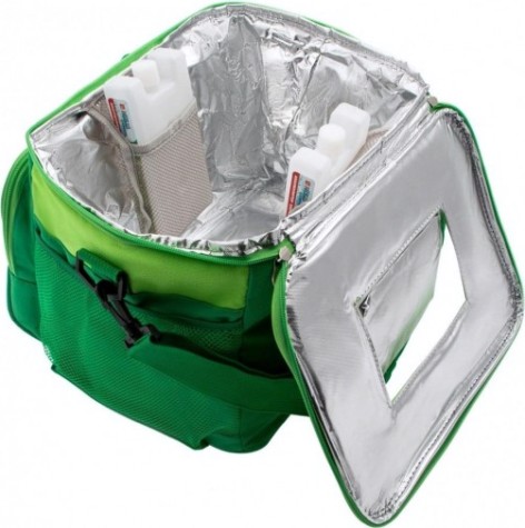Термосумка PALISAD 69 597 32x25x24 см, с двумя охлаждающими блоками [69597]